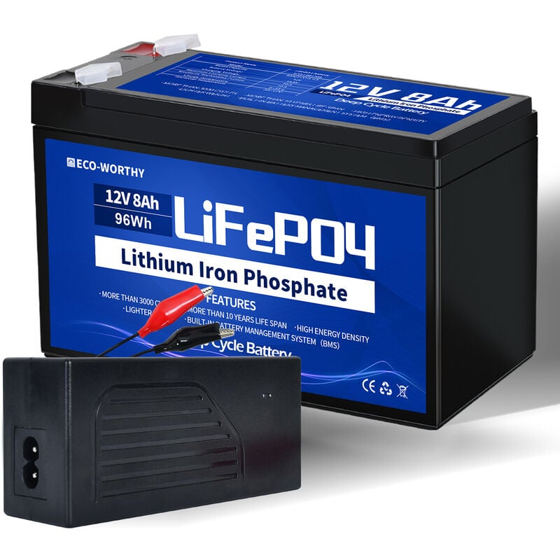 NEUWERTIG] ECO-WORTHY LiFePO4 Lithium batterie 12V 50Ah
