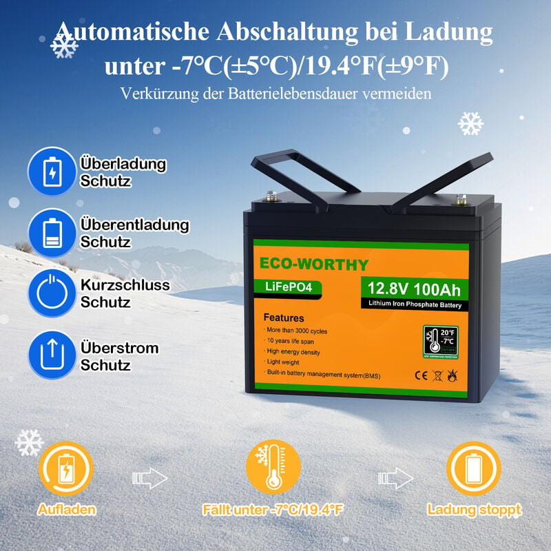 ECO-WORTHY Lithium batterie 12V 100Ah LiFePO4 Akku mit über 3000+ Tiefzyklus  und BMS Schutz für Solaranlage, Wohnmobil, Boot,Solarpanel Kit und Camping