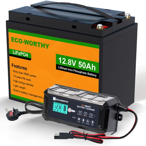 ECO-WORTHY 12V 50Ah LiFePO4 Akku Lithium batterie 12V und 10A Batterie  Ladegerät BatterieLadegerät