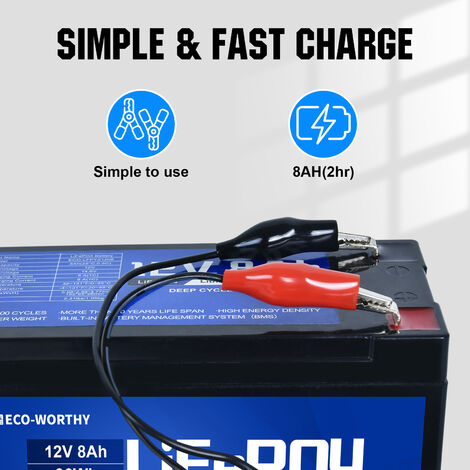ECO-WORTHY 10A 12V Batterie Ladegerät Halter für Bleisäure LiFePO4 Batterie  Auto Motorrad