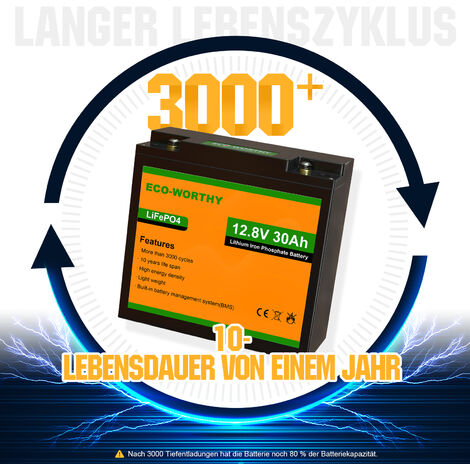 NEUWERTIG] ECO-WORTHY Lithium batterie 12V 30Ah LiFePO4 Akku mit über 3000+  Tiefzyklus und BMS