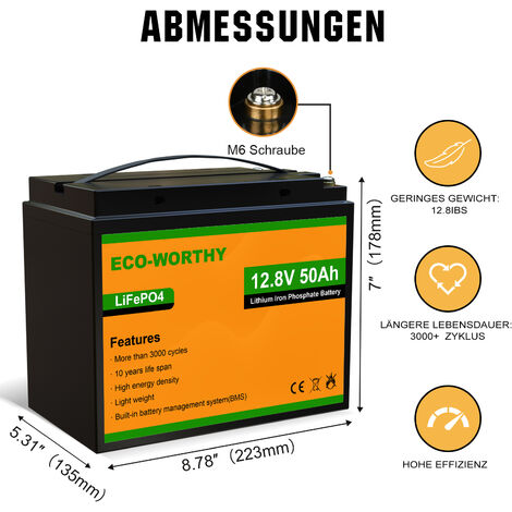 NEUWERTIG] ECO-WORTHY LiFePO4 Lithium batterie 12V 50Ah Solarbatterie Akku  mit über 3000+ Mal Tiefzyklen