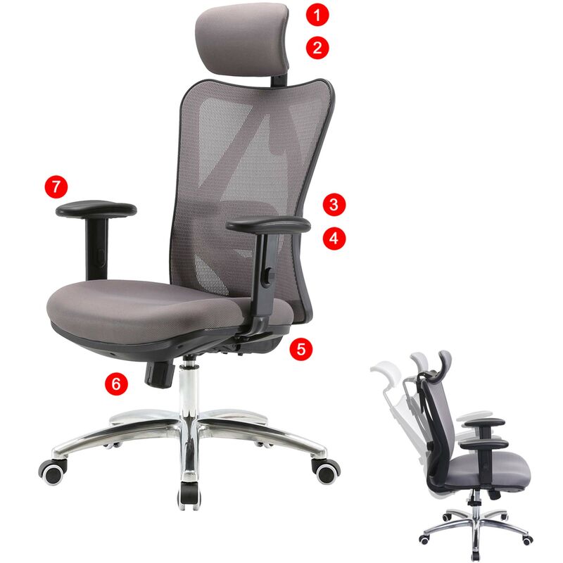 SIHOO poltrona ufficio ergonomica regolabile supporto lombare e