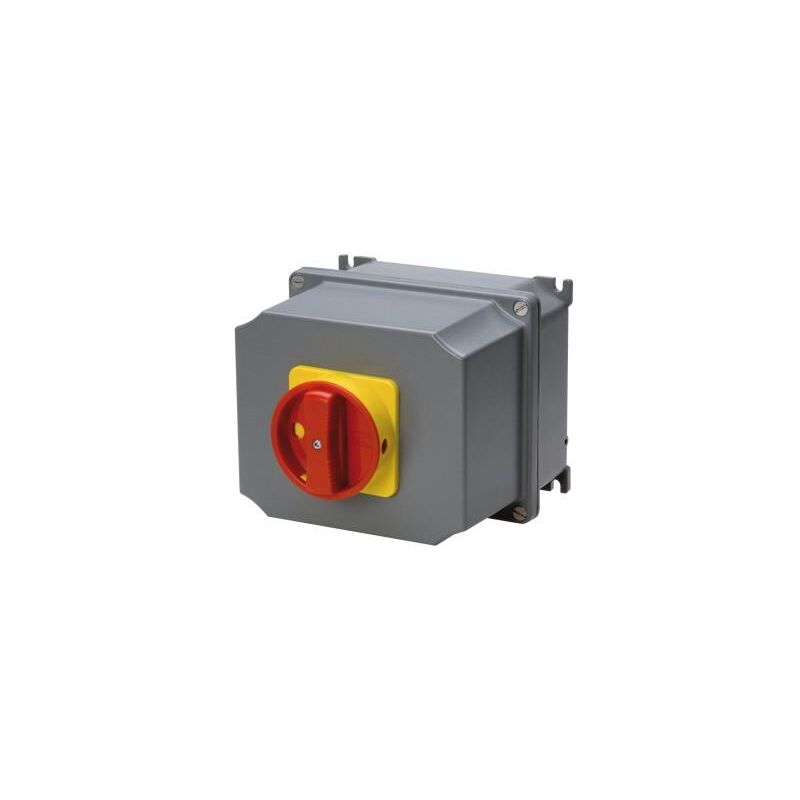 Gewiss - Interrupteur Différentiel ID 2P 63A AC/0,03 2M FIXMATIC - Bricolage