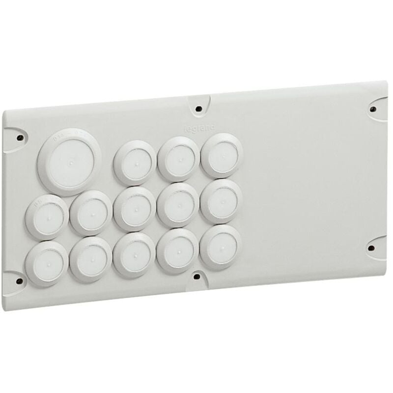 PLAQ.293X139 13ENT.+1+1 LEGRAND 036495