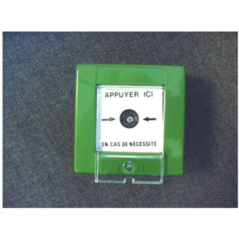 Bris de glace vert 1XNO/NF CAME 001FR0167