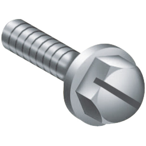 Spacial Thalassa vis M6x18mm + rondelle SCHNEIDER AF1VA618