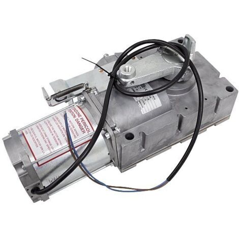 Motoréducteur GARD 8 24V - G2080 G2080I CAME 119RIG196 (1/3)
