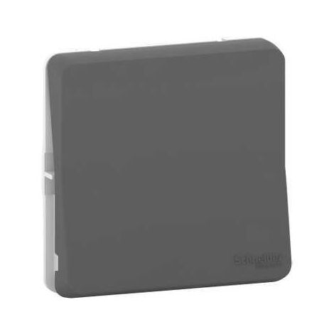 Mureva Styl Bouton poussoir composable IP55 IK08 connexion auto gris SCHNEIDER MUR35027