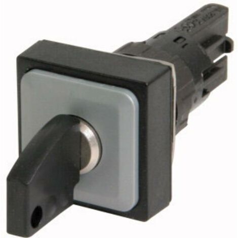 Eaton 038773 Q25S1 Commutateur à clé avec protection anti-torsion noir 1 x 45 ° 1 pc(s) (1/5)