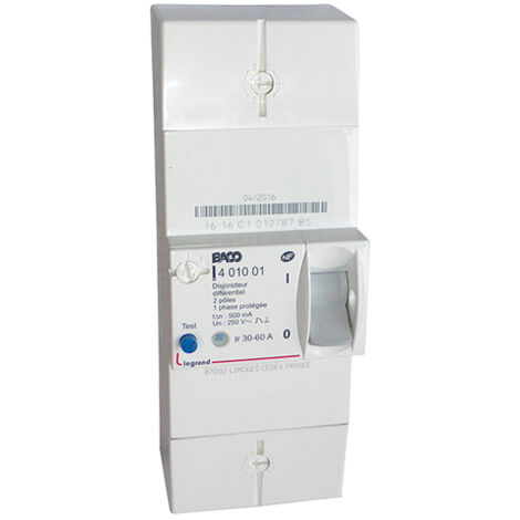 Disjoncteur de branchement BIPO 60A instantané MICHAUD N461 (1/5)