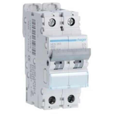 Disjoncteur 2 Pôles 6-10kA courbe B 63A 2 modules HAGER NEN263 (1/2)