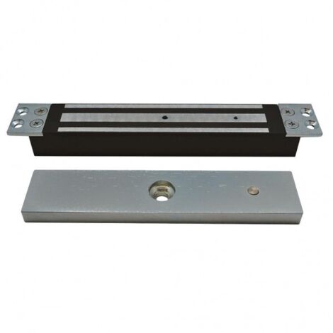 Ventouse encastrée 300 kg ou 600 lbs 12/24 v V300B AIPHONE 100320