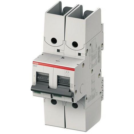 Disjoncteur S802S 2P 125A Courbe D Raccordement à vis - 50KA (3Modules) 2CCS862001R0841 ABB 742272 (1/2)