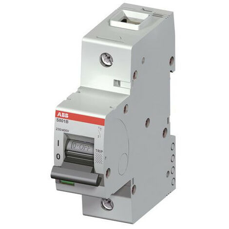 Disjoncteur S801B 1P 125A Courbe C Raccordement à vis - 16KA (1.5Module) 2CCS811001R0844 ABB 745147 (1/2)
