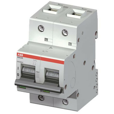 Disjoncteur S802B 2P 100A Courbe D Raccordement à vis - 16KA (3Modules) 2CCS812001R0821 ABB 745271 (1/2)