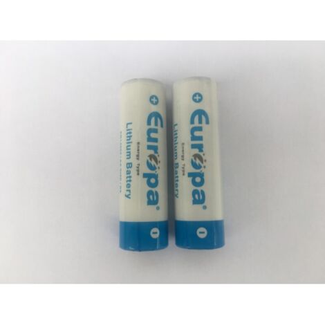 Bloc 2 piles lithium pour détecteur de mouvement PLIR Tyxal DELTA DORE 6416215 (1/5)