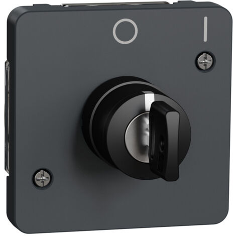 Schneider Electric Mureva Styl - Pulsante Luminoso LED A Pressione, IP55, Grigio (MUR35228)