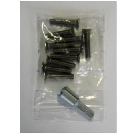 10 vis m5/25 + 1 embout - URMET 500272 (1/4)