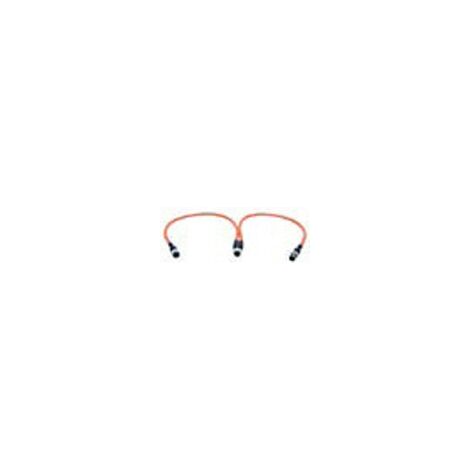 Câble connecteur en Té 30/30cm pour EYELEDS OUTDOOR PRO ARIC 5602 (1/2)