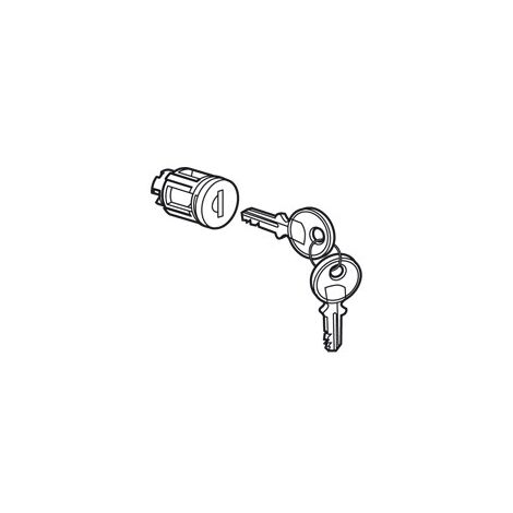 Barillet à clé type 405 pour porte métal ou vitrée XL³800 ,XL³400 et XL³160 avec 1 jeu de 2 clés LEGRAND 020291