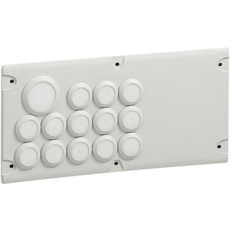 PLAQ.293X139 13ENT.+1+1 LEGRAND 036495