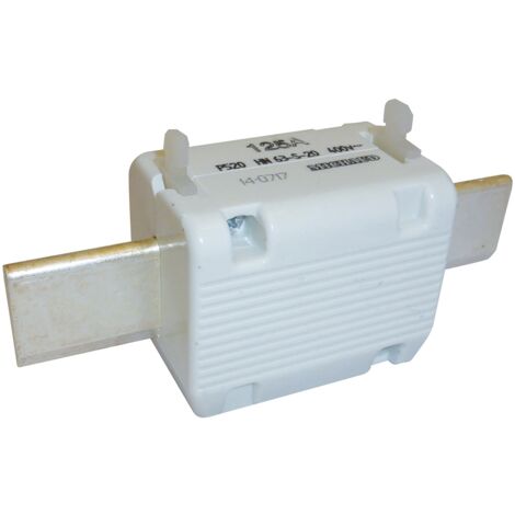 Cartouche fusible Taille 2 entraxe 115mm 125A MICHAUD P520 (1/5)