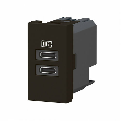 Chargeur 2 USB Type-C Mosaic 2 modules noir pour support LCM LEGRAND 077682L