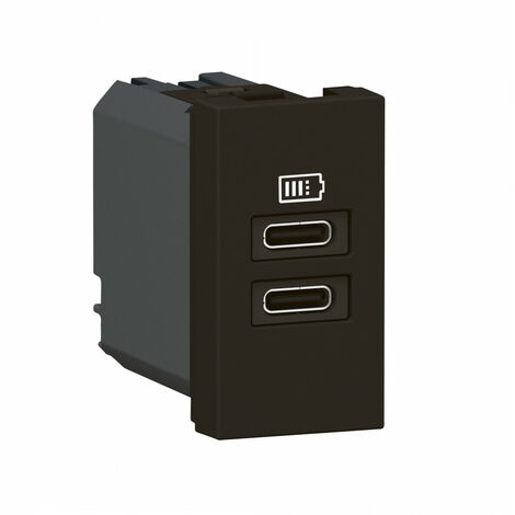 Chargeur 2 USB Type-C Mosaic 2 modules noir pour support LCM LEGRAND 077682L