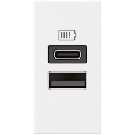 Chargeur USB Type-A+Type-C Mosaic 2 modules blanc pour support LCM LEGRAND 077670L