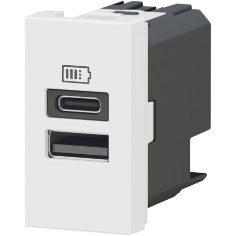 Chargeur USB Type-A+Type-C Mosaic 2 modules blanc pour support LCM LEGRAND 077670L