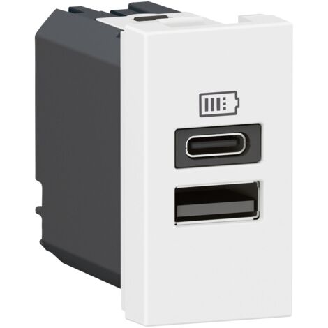 Chargeur USB Type-A+Type-C Mosaic 2 modules blanc pour support LCM LEGRAND 077670L
