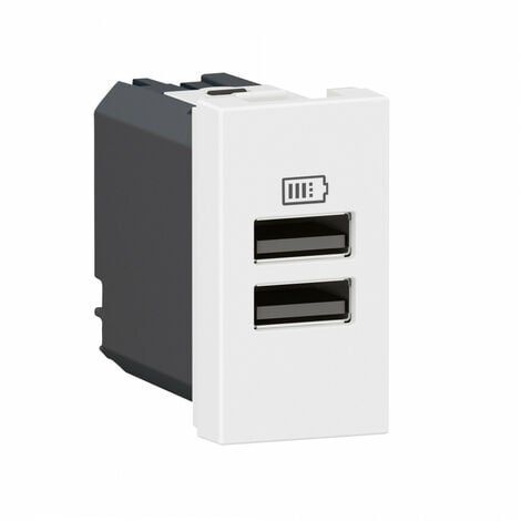Chargeur 2 USB Type-A Mosaic 2 modules blanc pour support LCM LEGRAND 077660L