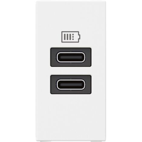 Chargeur 2 USB Type-C Mosaic 2 modules blanc pour support LCM LEGRAND 077680L