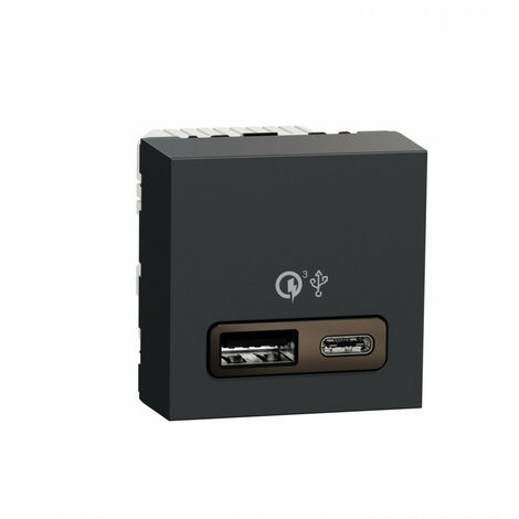 Odace - prise USB double - charge rapide - type A+C - aluminium - 18W -  3,4A Schneider Electric