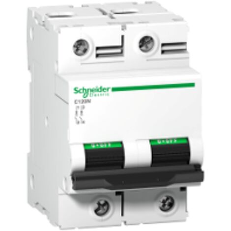 Disjoncteur automatique ACTI 9 C120 125A 2P à courbe en D, 10 kA Icn, IP20, montage DIN (1/2)