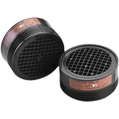 Filtres A2 anti-gaz et vapeurs organiques pour NEW EURMASK 22102 - COVERGUARD - 6REF410NSI