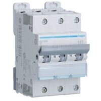 Disjoncteur 3 Pôles 6-10kA courbe D 6A 3 modules HAGER NGT306