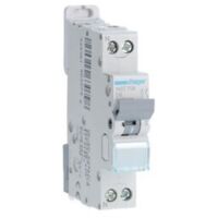Disjoncteur 1P+N 6-10kA courbe D - 6A 1 module HAGER NGT706