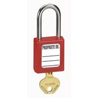 Cadenas de sûreté D.6mm longueur 50mm LEGRAND 022797