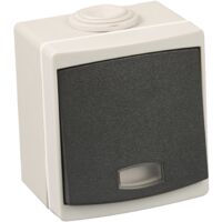 Va/Vient lumineux IP55 gris EUR'OHM 60701