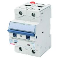 DISJ.MAGN.HAUTE PERF.2P C125 16KA 3M GEWISS GW93329
