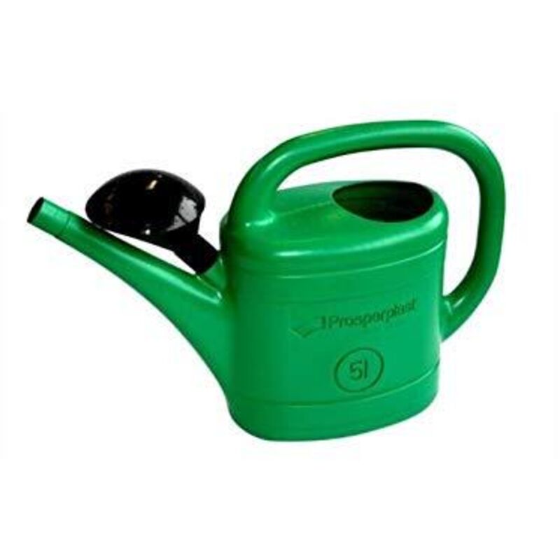 Annaffiatoio ovale in plastica - Capacità: 4 litri | Leroy Merlin