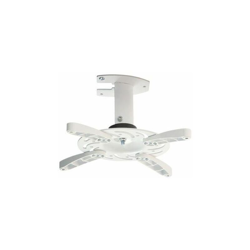 Bellibolt 201 Supporto A Parete Per Soffiatore Kobalt 24V - Montaggio Murale, Colore Blu, Organizzazione Pompa A Spalla Volpi - Foto 12