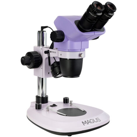 Stereomicroscopio MAGUS Stereo 8B (1/5)