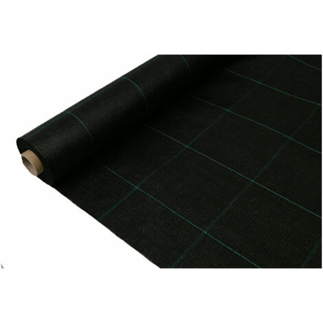 Rete per Nascondere Faura Nero 1 x 100 m (1/2)