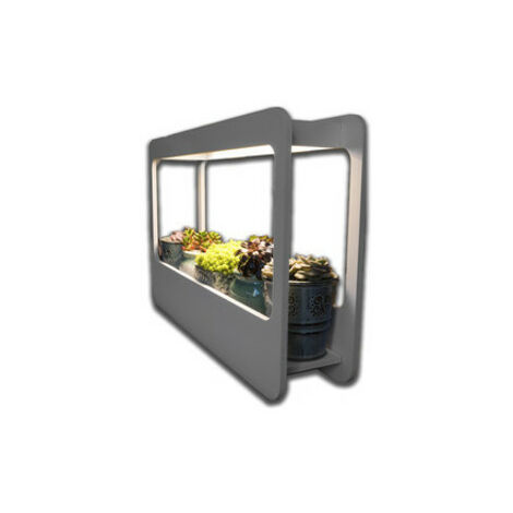 LIZEALUCKY Filo Intrecciato per Legare Le Piante da Giardino con dispenser e taglierina per Il Giardinaggio Fascette morbide per Il Supporto delle Piante Legami per Il Giardinaggio, Piante