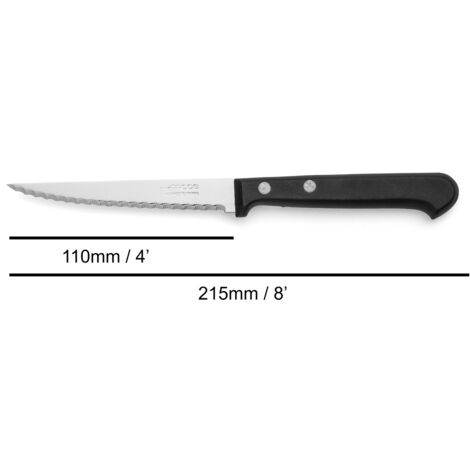 Skinning Coltello Arcos Colore - Prof. 295423 In Acciaio Inox Nitrum E Mango Ergonomico Blu Polipropilene E 19 Lama Cm 88387358