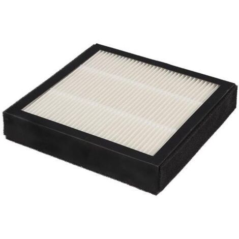 Filtro Hepa per airpd001