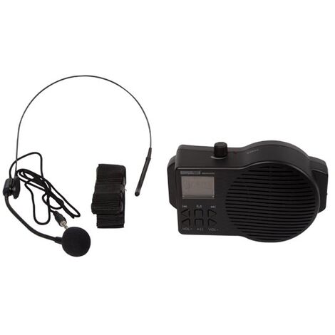 Sistema audio portatile con porta usb/scheda SD e radio fm